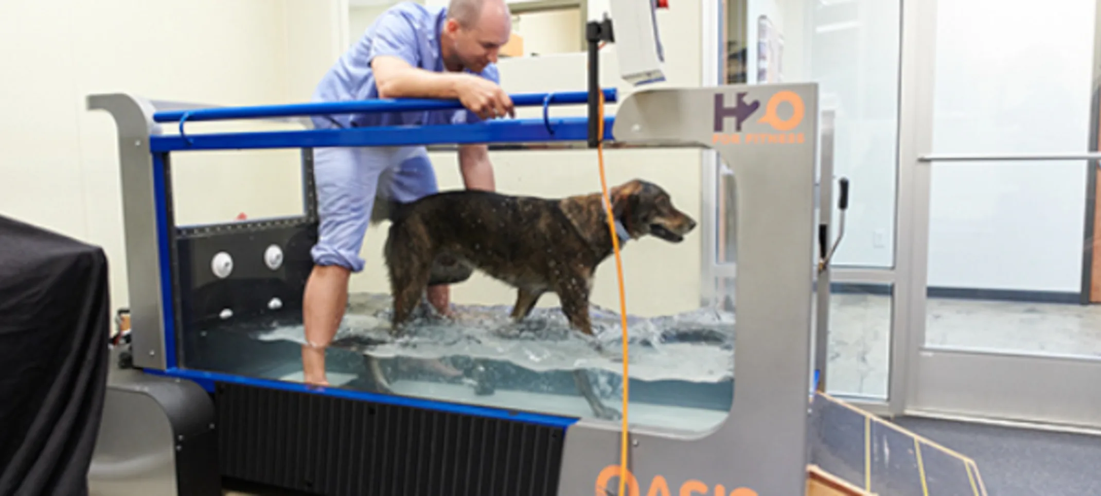 Veterinary Technician with dog in water therapy chamber.